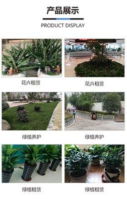 合肥綠化養護與園林綠化工程 如何選擇服務優質的專業團隊