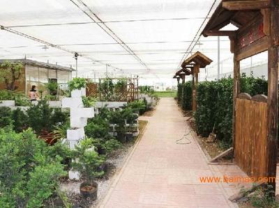 魯西城市園林綠化與聊城廠區綠化工程的發展與展望