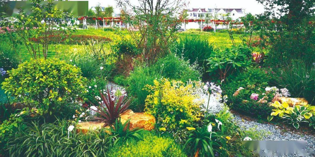 喜訊|我集團攬獲山東省園林綠化行業第一屆花境職業技能競賽園林綠化工程獎項