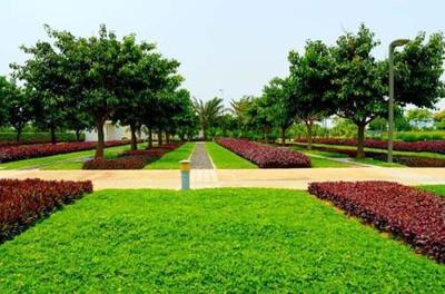 《廣東省園林綠化工程綜合定額（2018）》解讀 規范市場、指導實踐的行業基石